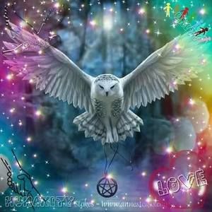 Meet your Posher, Barbie